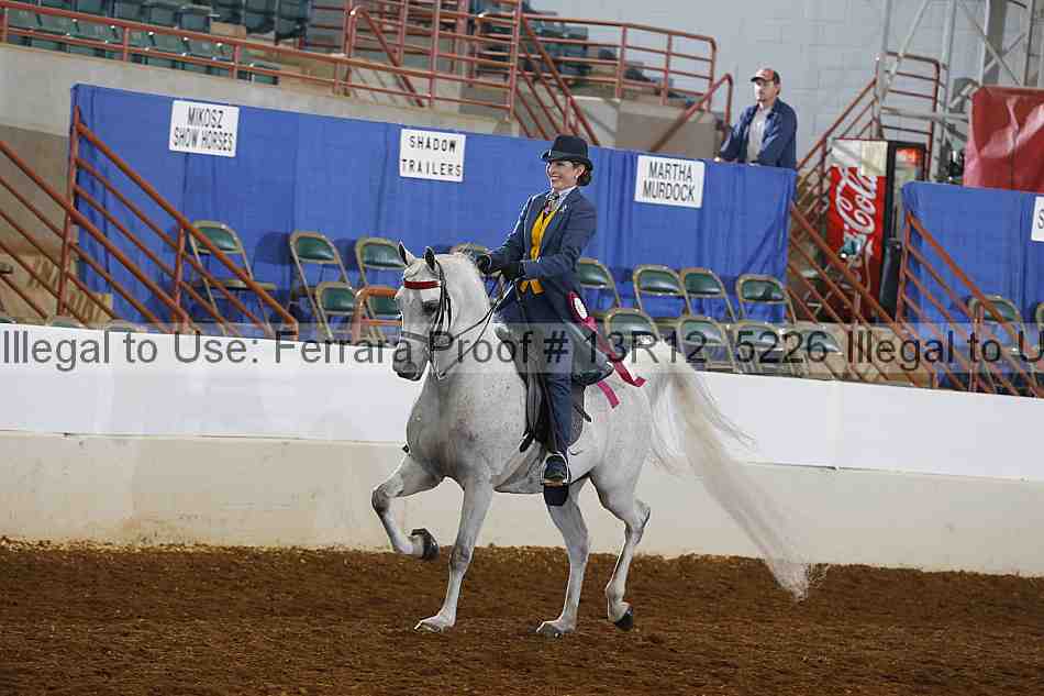 Proof Number 13r12_5226