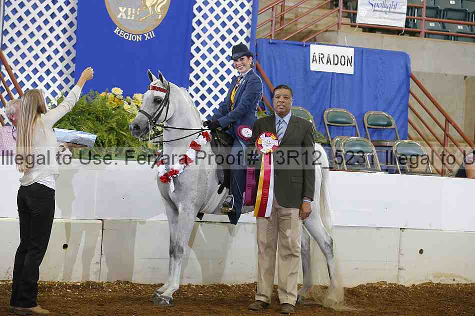 Proof Number 13r12_5231