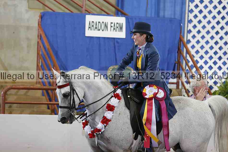 Proof Number 13r12_5234