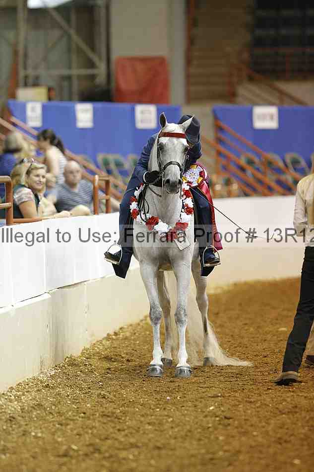 Proof Number 13r12_5235