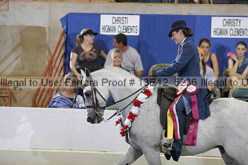 Proof Number 13r12_5236