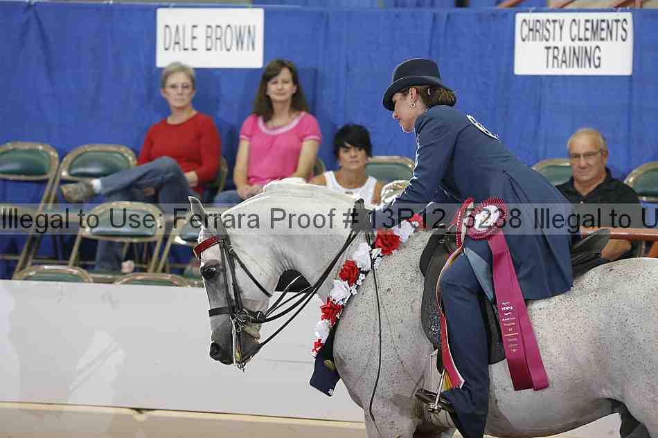 Proof Number 13r12_5238