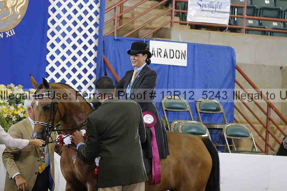 Proof Number 13r12_5243