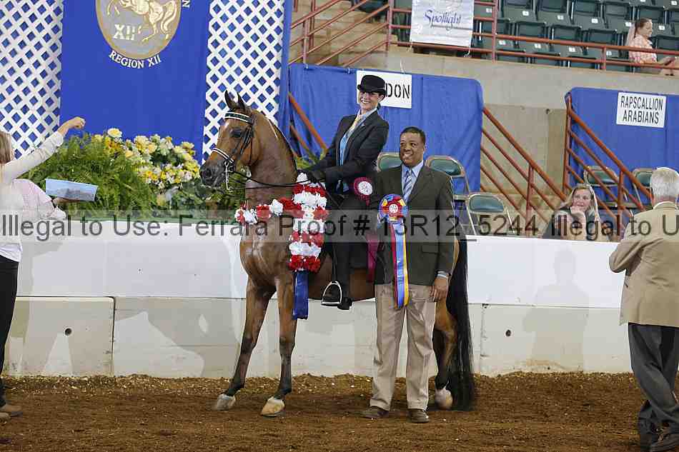 Proof Number 13r12_5244