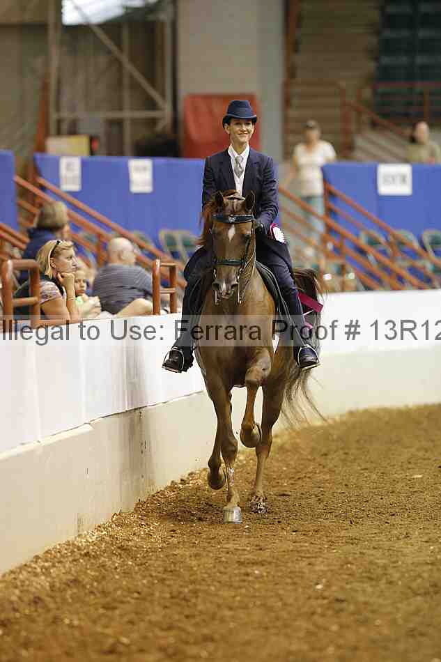 Proof Number 13r12_5251