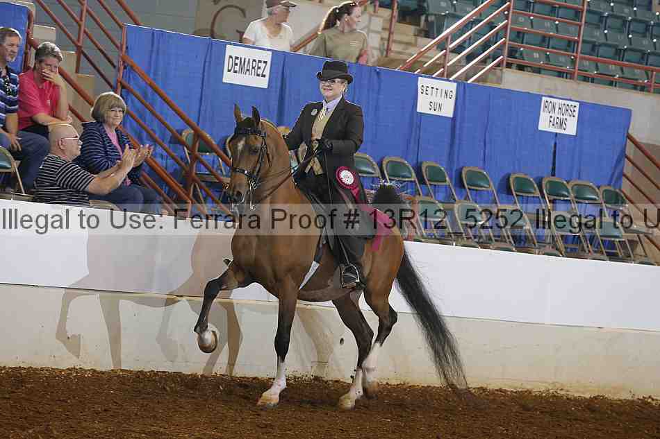 Proof Number 13r12_5252