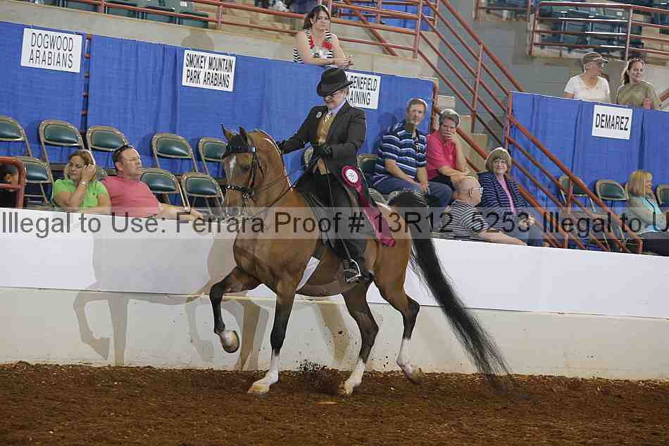 Proof Number 13r12_5253