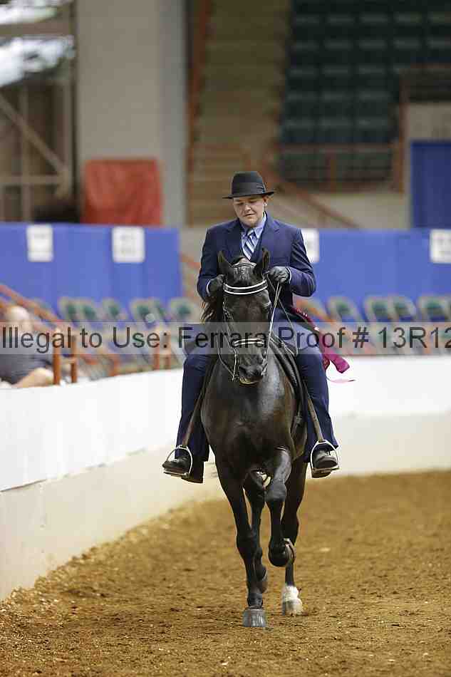 Proof Number 13r12_5257