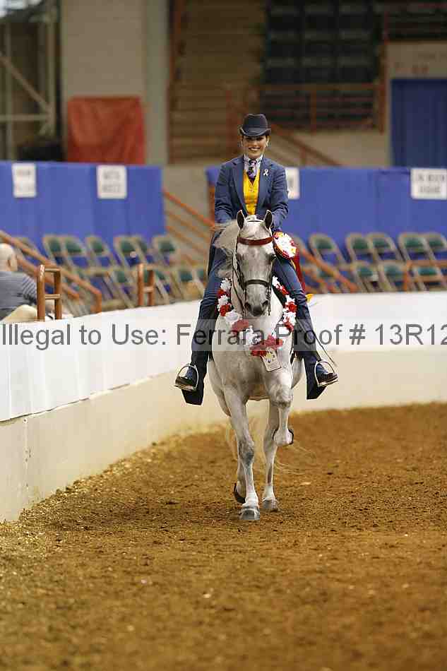Proof Number 13r12_5261