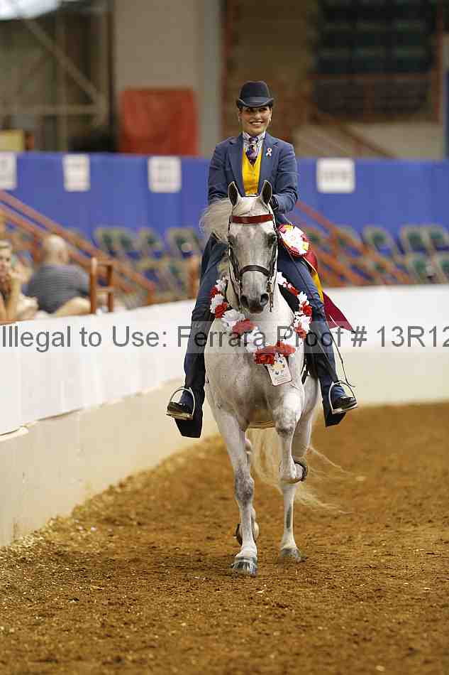 Proof Number 13r12_5262