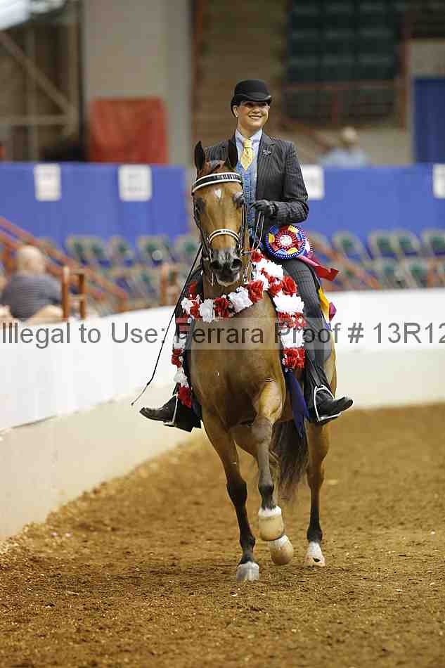 Proof Number 13r12_5268