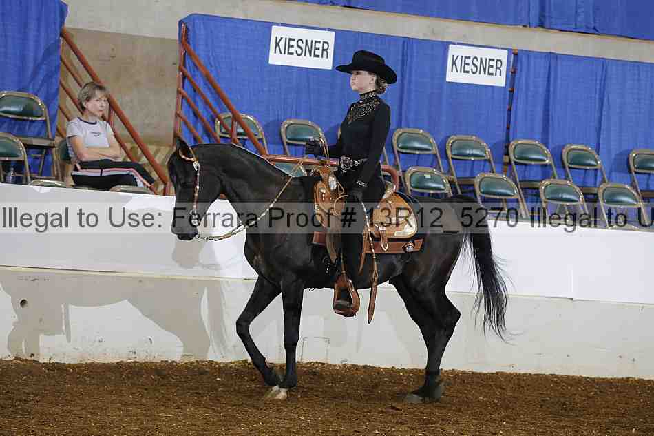 Proof Number 13r12_5270