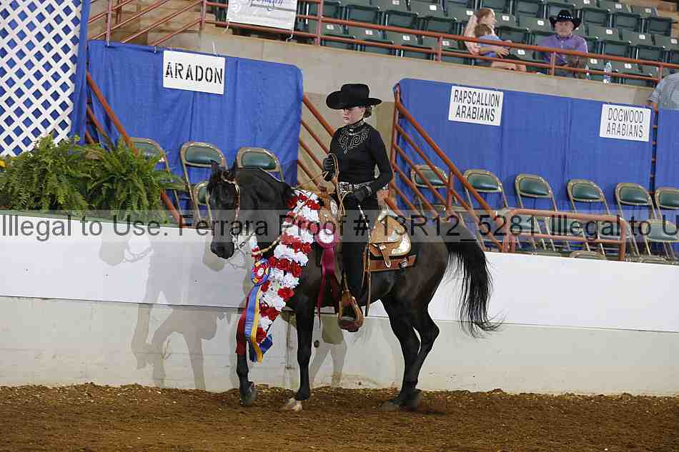 Proof Number 13r12_5281