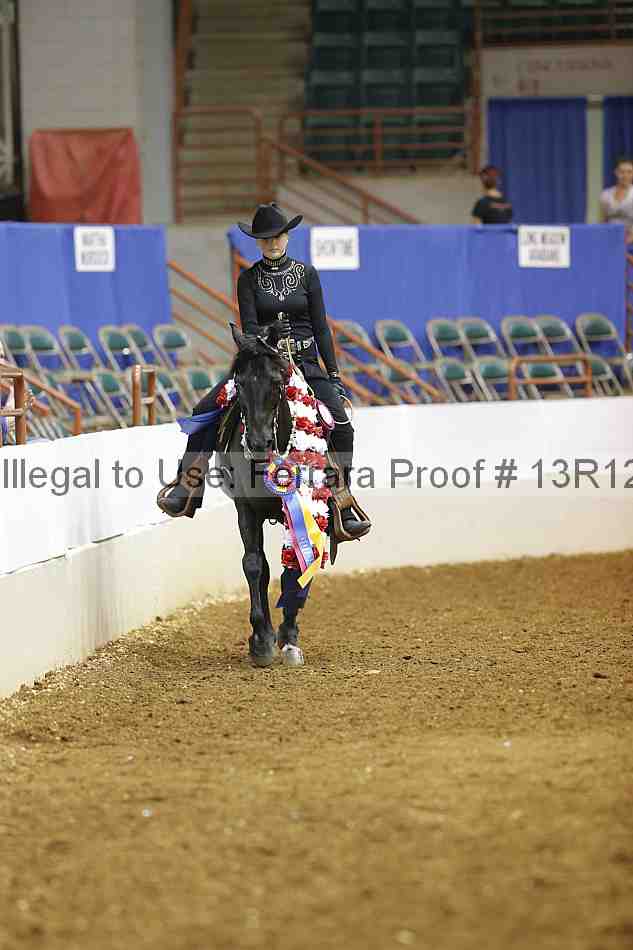Proof Number 13r12_5282