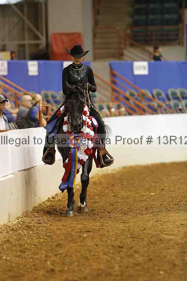 Proof Number 13r12_5283