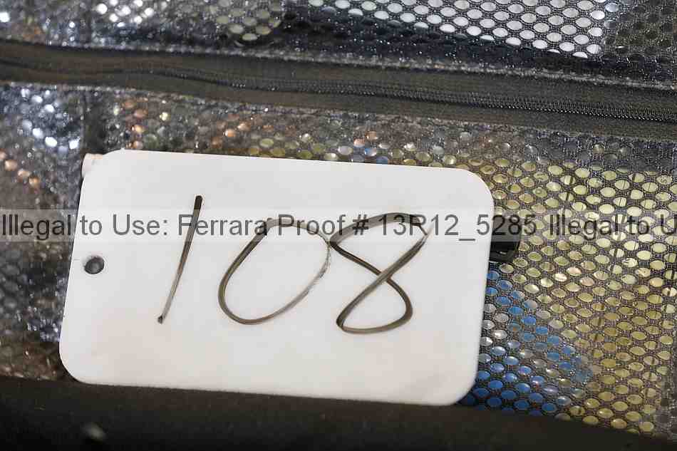 Proof Number 13r12_5285