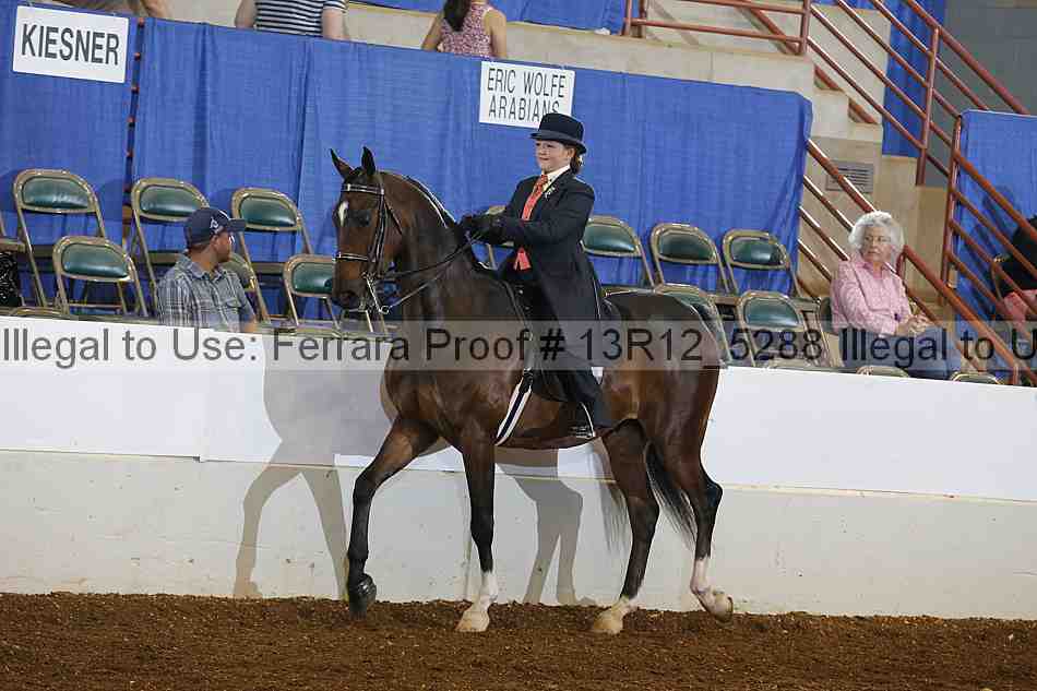 Proof Number 13r12_5288