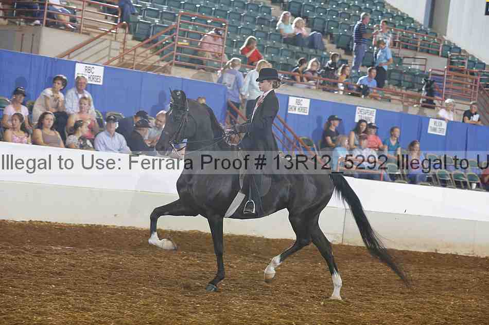 Proof Number 13r12_5292