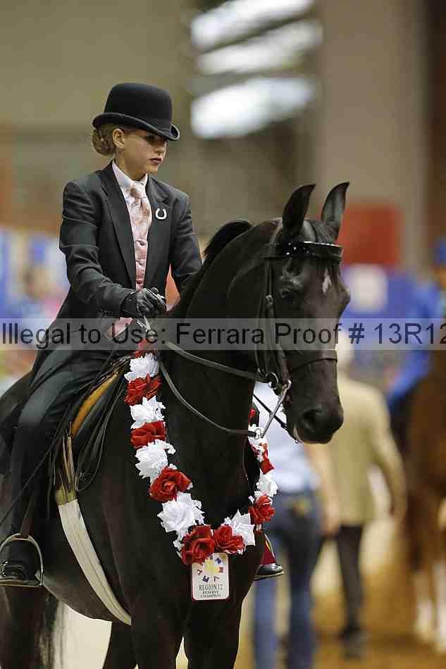 Proof Number 13r12_5302