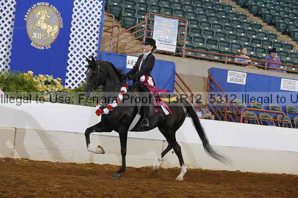 Proof Number 13r12_5312