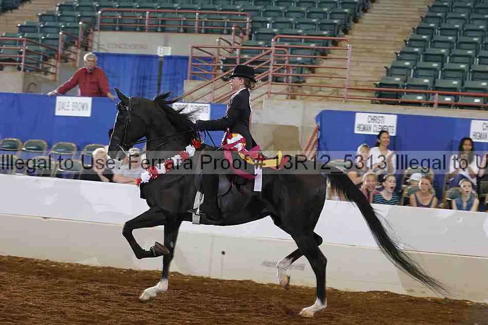 Proof Number 13r12_5313