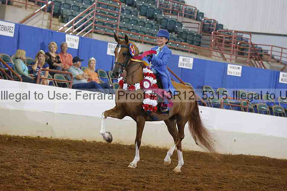 Proof Number 13r12_5315
