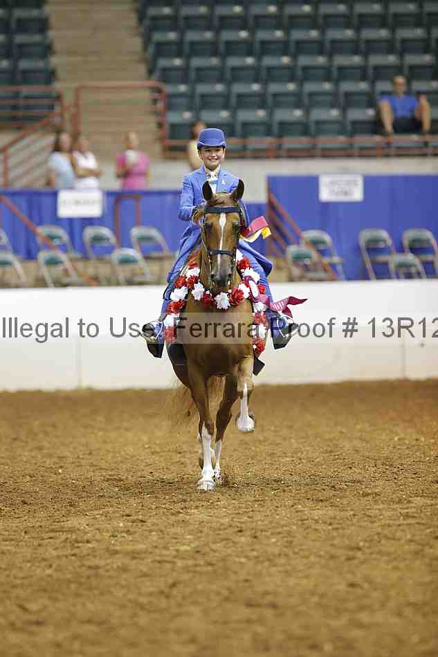 Proof Number 13r12_5317