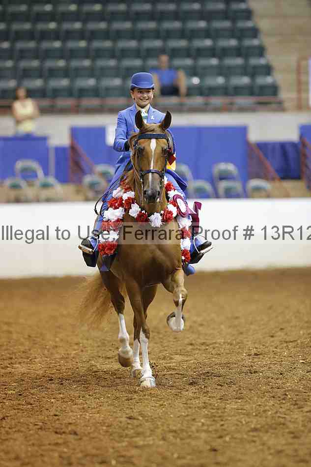 Proof Number 13r12_5318