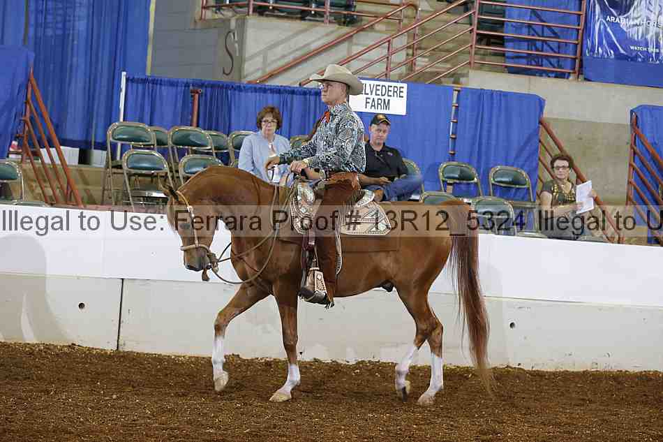 Proof Number 13r12_5324