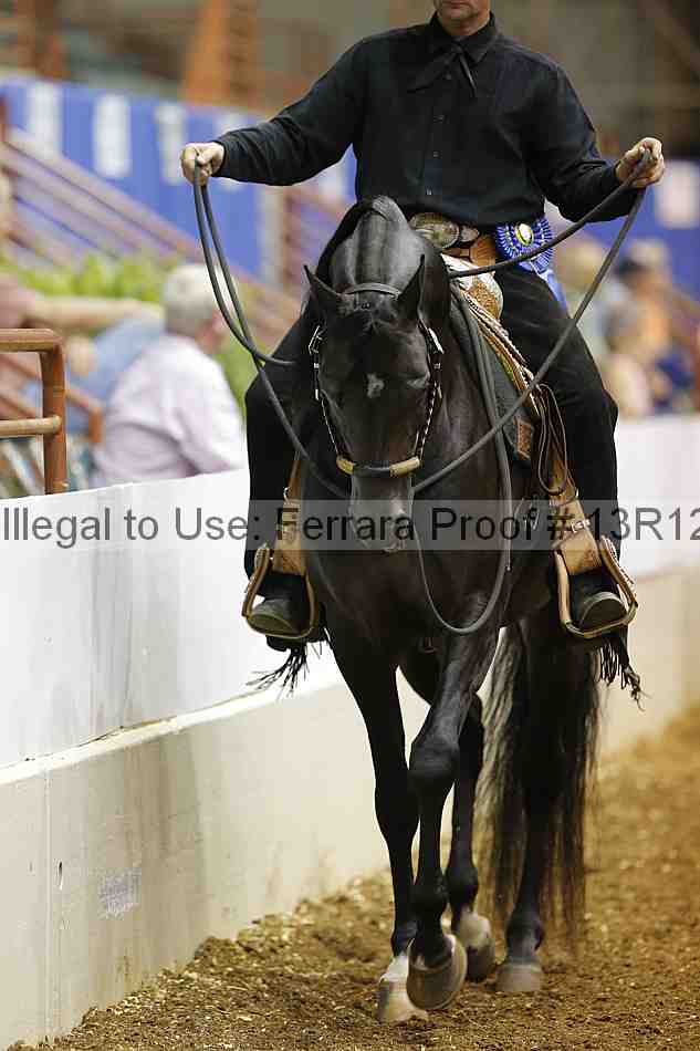 Proof Number 13r12_5365