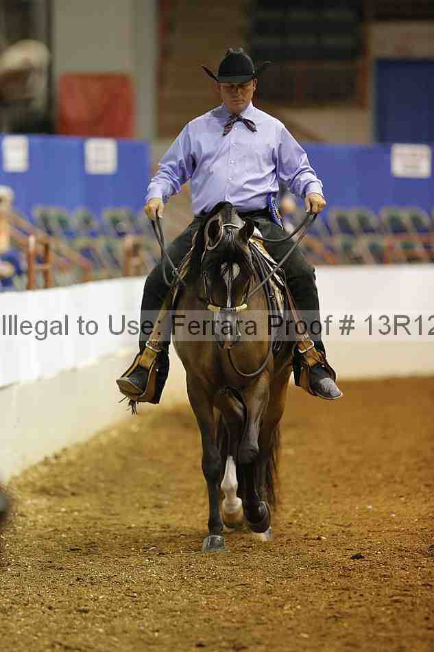 Proof Number 13r12_5369