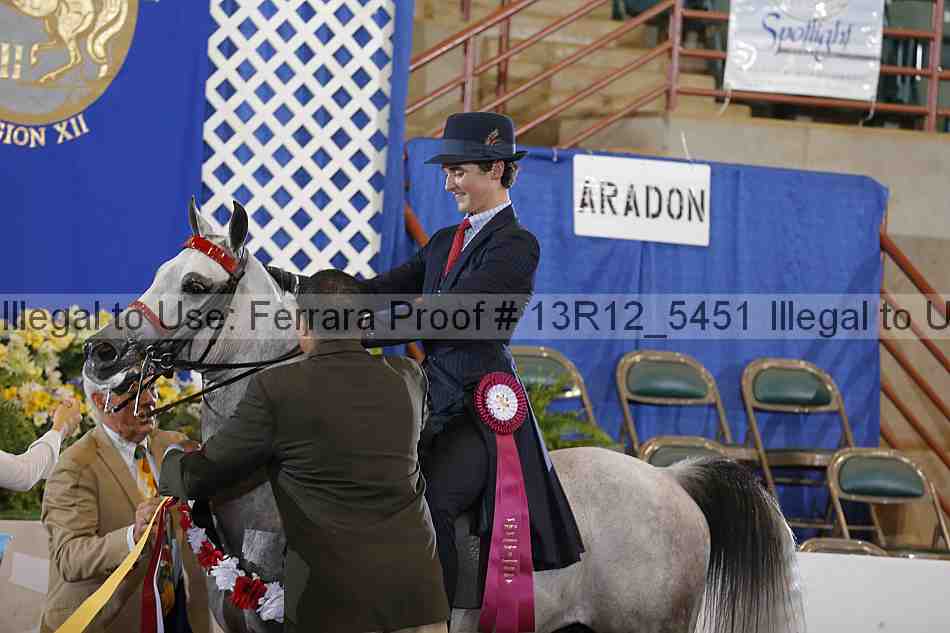 Proof Number 13r12_5451