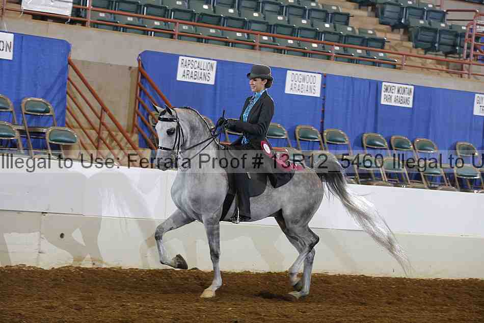 Proof Number 13r12_5460
