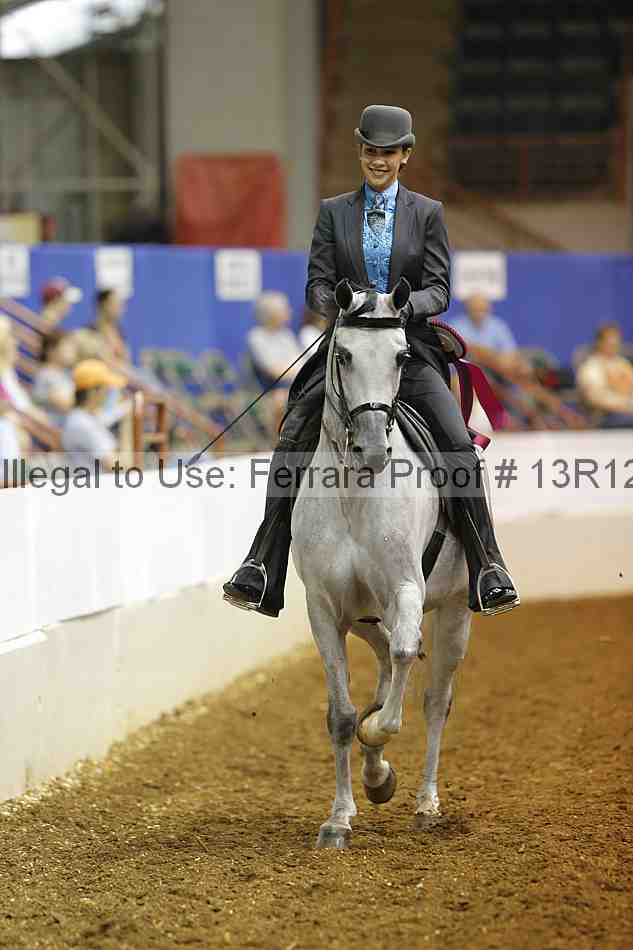 Proof Number 13r12_5462