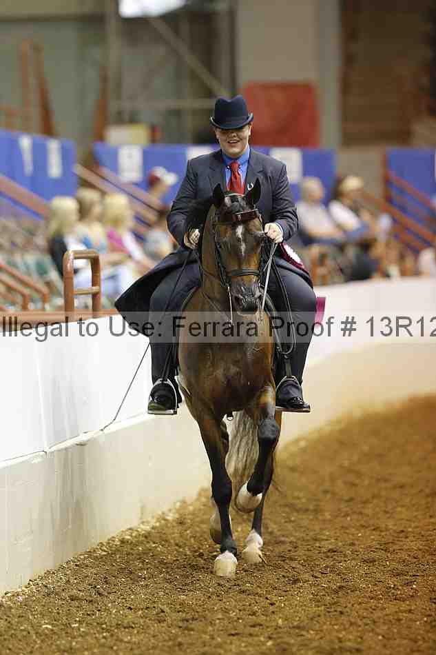 Proof Number 13r12_5470
