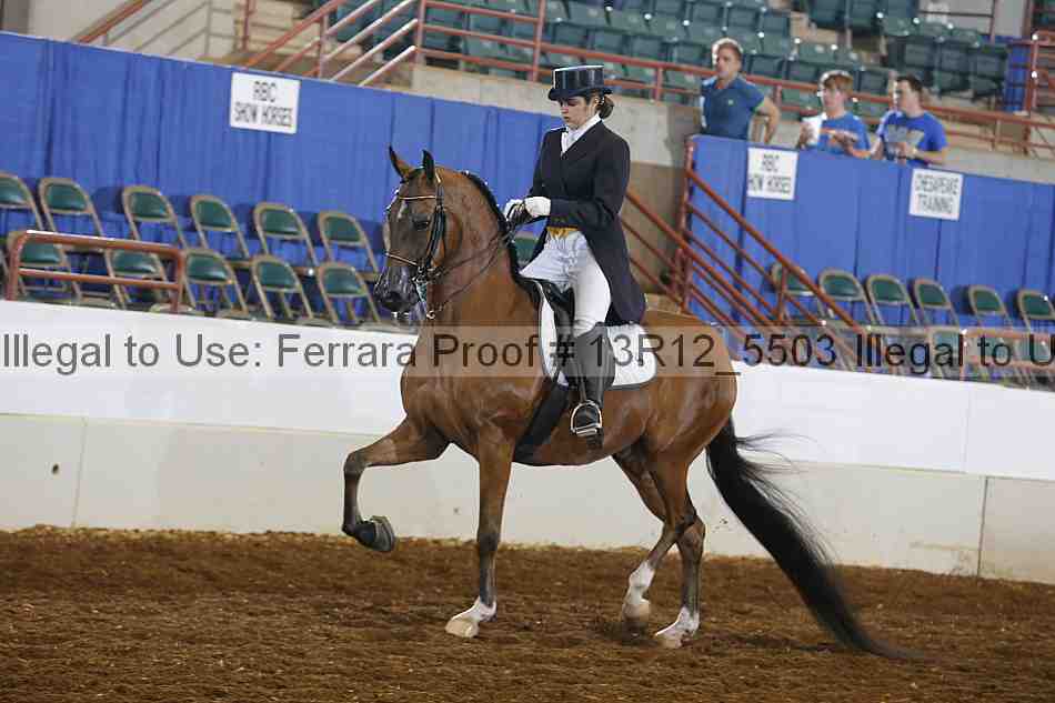 Proof Number 13r12_5503