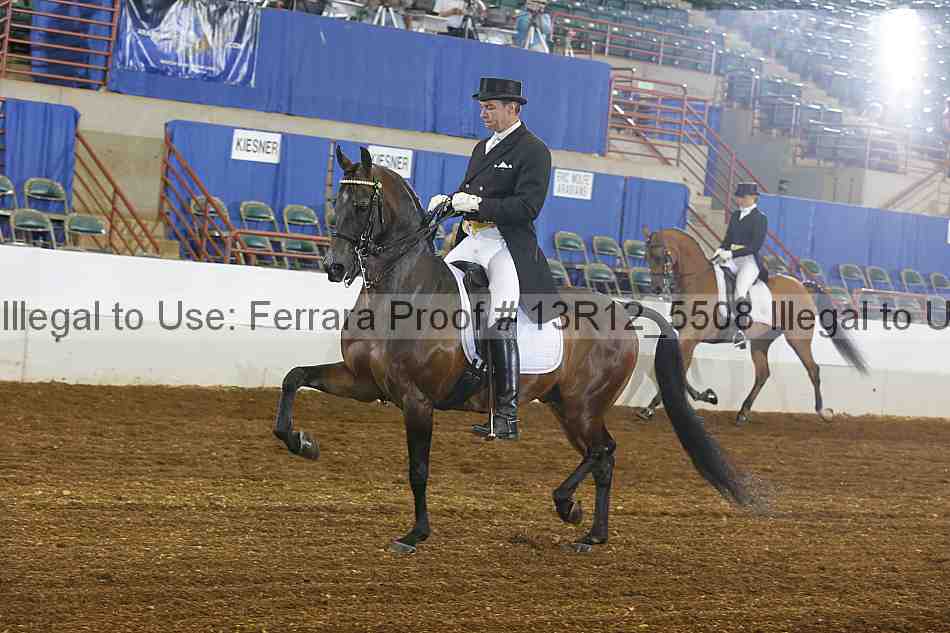 Proof Number 13r12_5508