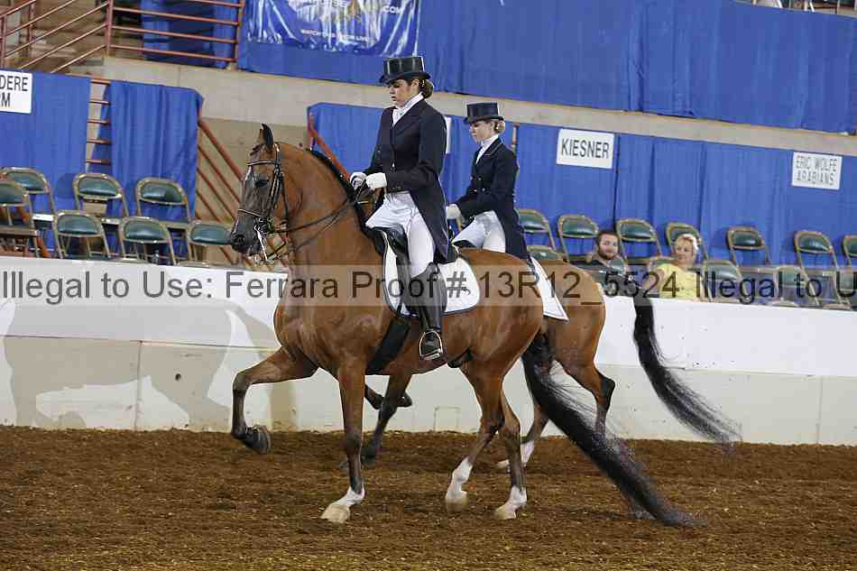 Proof Number 13r12_5524