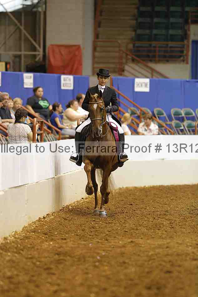 Proof Number 13r12_5550