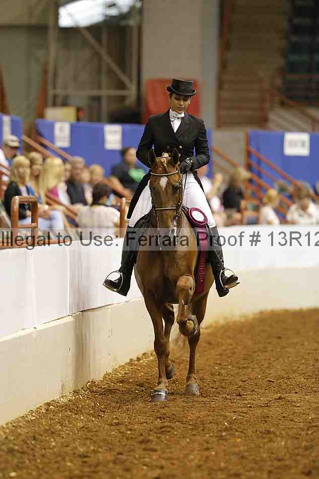 Proof Number 13r12_5551