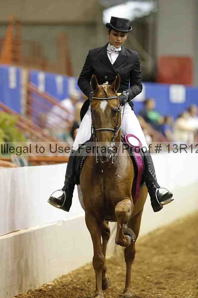 Proof Number 13r12_5553