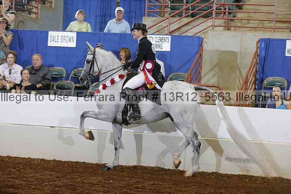 Proof Number 13r12_5563