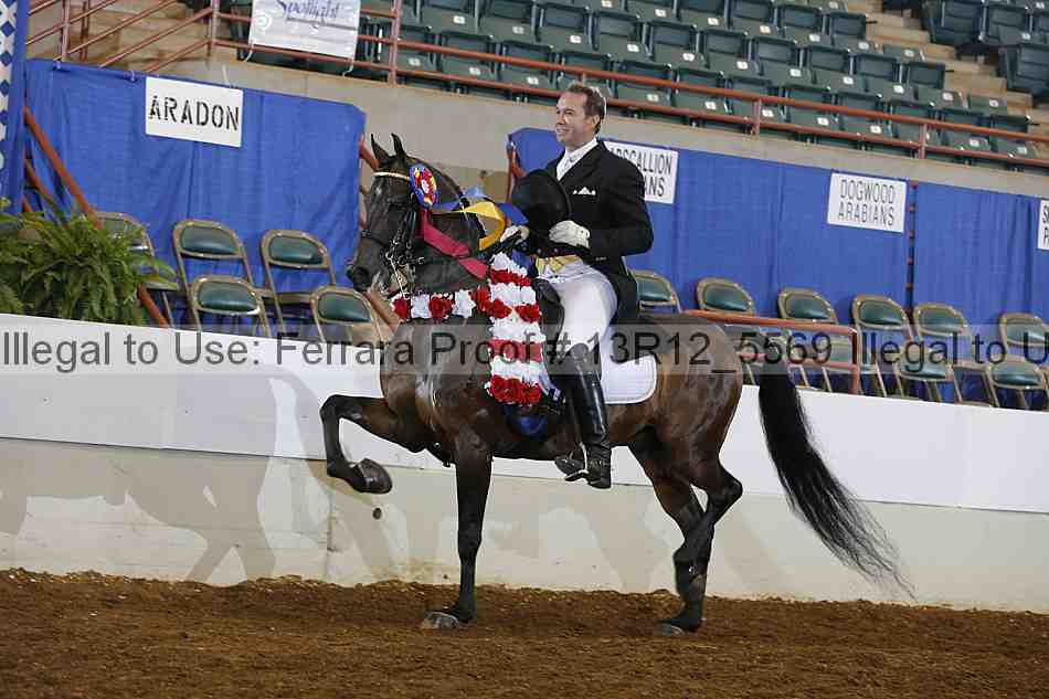 Proof Number 13r12_5569