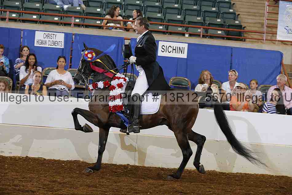 Proof Number 13r12_5570