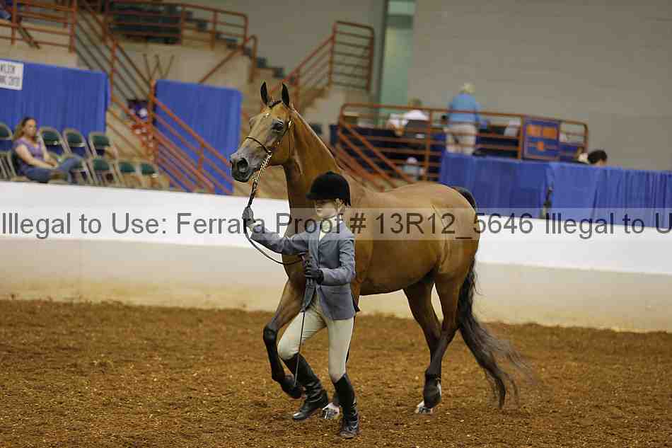 Proof Number 13r12_5646