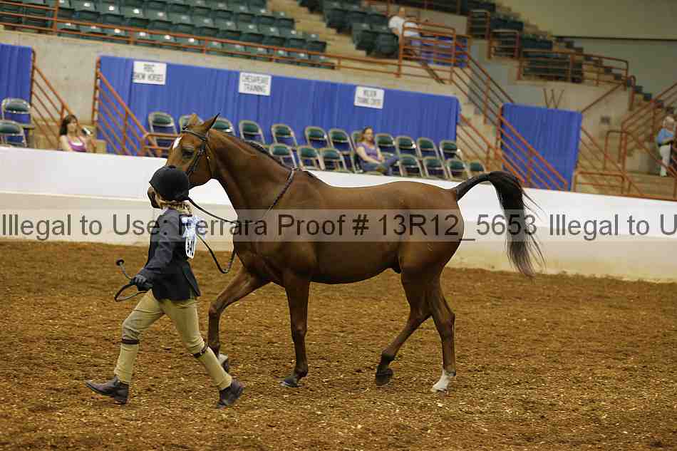 Proof Number 13r12_5653