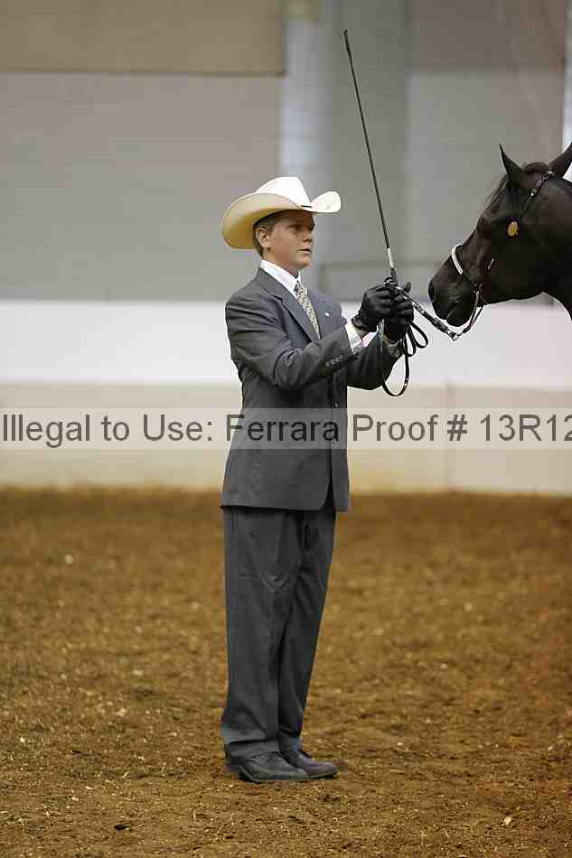 Proof Number 13r12_5655