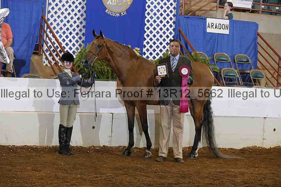 Proof Number 13r12_5662