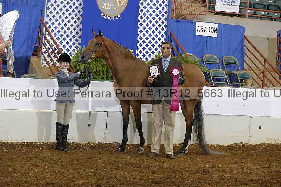 Proof Number 13r12_5663