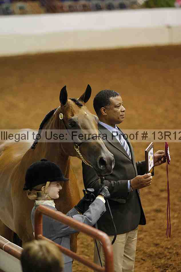 Proof Number 13r12_5664